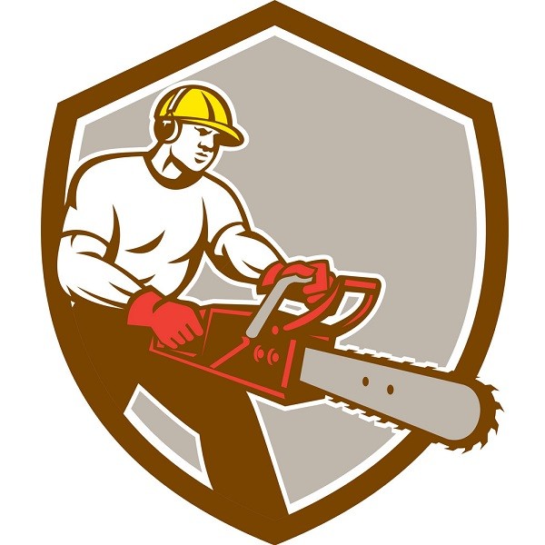 lumberjack tree surgeon arborist chainsaw shield vector 3179046